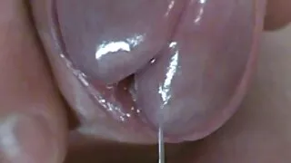 Vaqueira loira arden ...