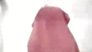 Essa porno amador pu ...