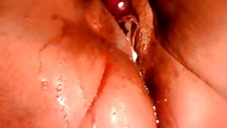 x videos porno grátis
