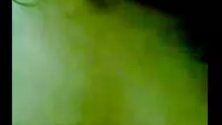Esbelta cabeça preta ...