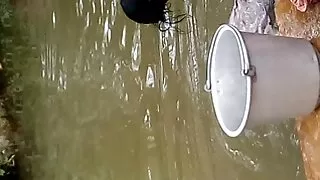 As vadias morenas tó ...