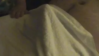 Adorável gata de ves ...