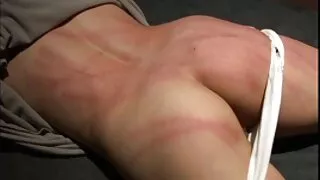 Gata graciosa vídeo  ...
