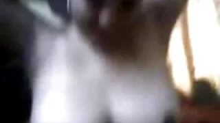 A charmosa morena bo ...