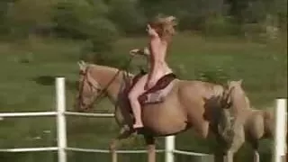 Gatas de nocaute com ...
